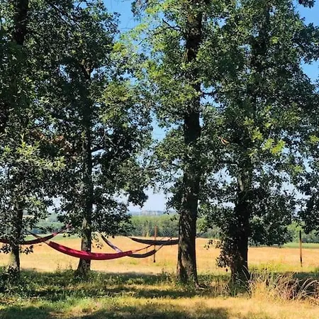 Domaine Sarromas Holiday home