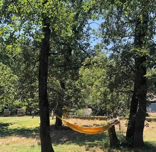 Domaine Sarromas * Fréjairolles